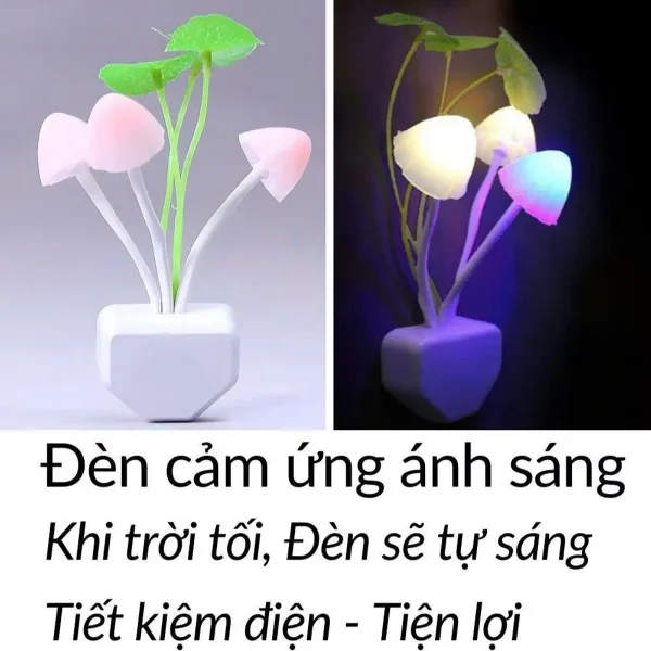 [200] Đèn ngủ Nấm Cảm Ứng Khi Trời Tối